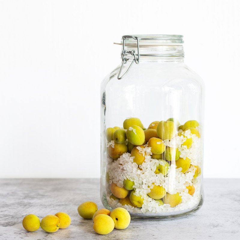 Plum and Sugar in Jar